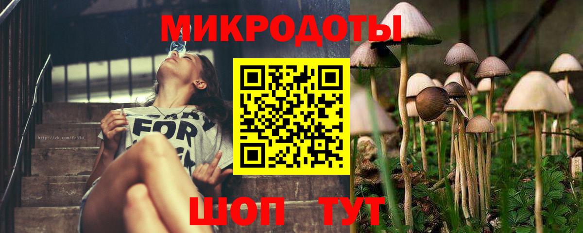 Псилоцибиновые грибы Psilocybine cubensis Верхний Уфалей