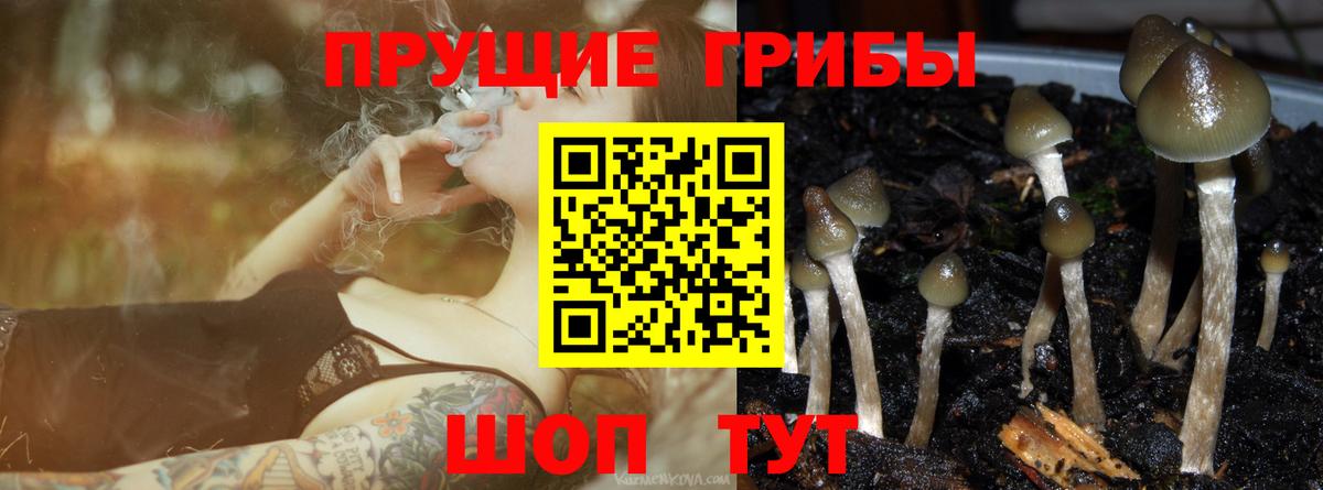 Верхний Уфалей  Галлюциногенные грибы мухоморы  Вход с VPN 